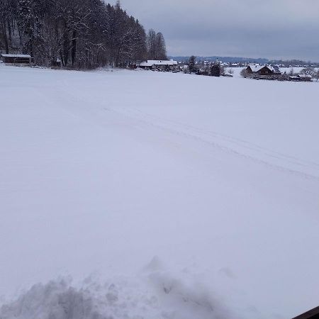 Apartament Haus Maier Marquartstein Zewnętrze zdjęcie